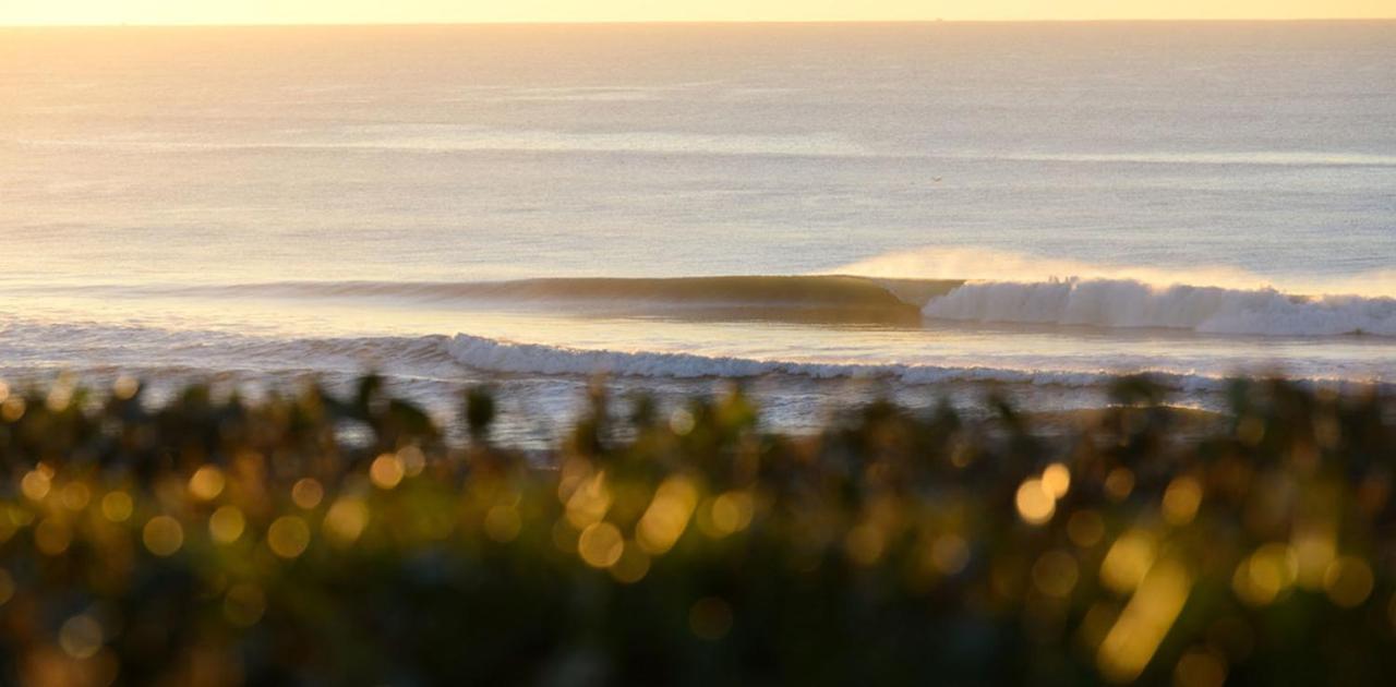 Hotel The Spot Surfcamp Biscarrosse Exterior foto
